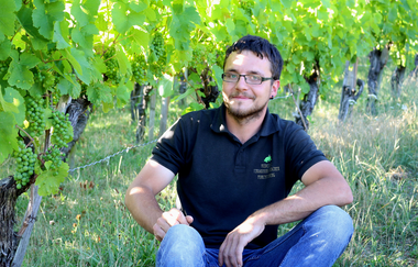 Ferdinand Fröscher sitzt zwischen grünen Weinreben | © Touristikgemeinschaft Hohenlohe e. v.  | Rebenhof Fröscher