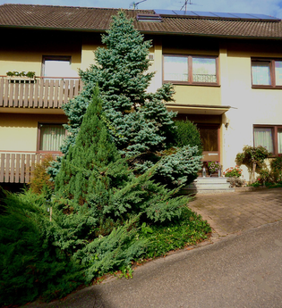 Klaus Schluchter | © Klaus Schluchter, Pfedelbach, Hohenlohe