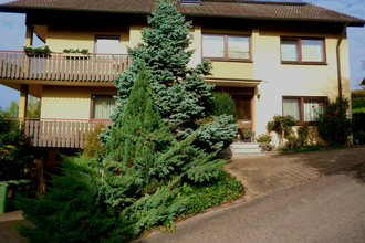 Klaus Schluchter | © Klaus Schluchter, Pfedelbach, Hohenlohe