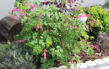 Landhaus Rothenburg | © Unbekannt