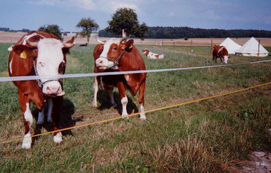Ökoferienhof Retzbach in Blaufelden | © Hohenlohe Schwäbisch Hall