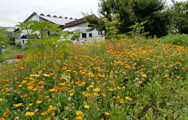 Ökologischer Land- & Weinbau Seitz | © Liebliches Taubertal