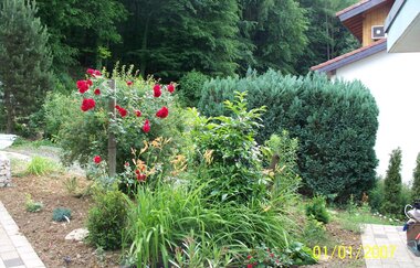 Pension Am Waldrand