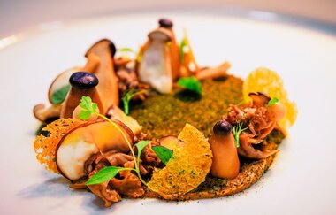 Rebgut - Die Weinherberge | © Unbekannt