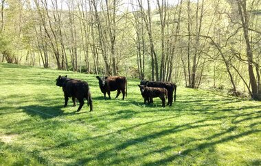 Relaxen im Taubertal | © Unbekannt