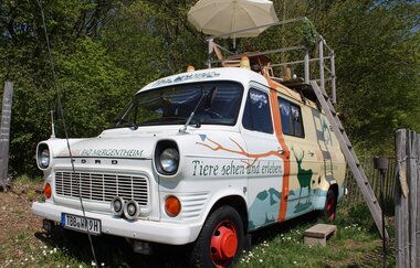 Ein umgebauter Bus zum übernachten. Eine Leiter führt auf der rechten Seite auf das Dach, wo sich eine kleine Terrasse mit Stühlen und Sonnenschirm befindet.