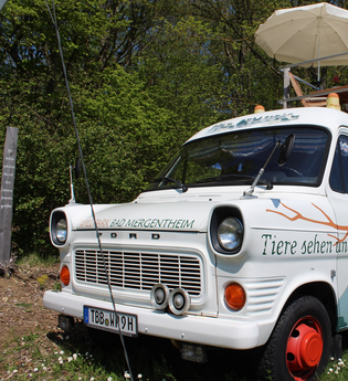 Ein umgebauter Bus zum übernachten. Eine Leiter führt auf der rechten Seite auf das Dach, wo sich eine kleine Terrasse mit Stühlen und Sonnenschirm befindet. | © Tourist-Information