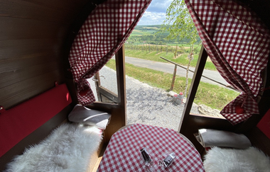 Ein Blick auf die Weinberge aus dem Weinfass hinaus. Im Weinfass befinden sich Sitzbänke und ein Esstisch. | © Jakobshof Lehr
