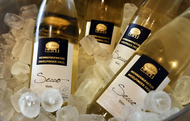 Vier Flaschen Secco von der Weinmanufaktur Ingelfinger Fass im Eiskübel | © Touristikgemeinschaft Hohenlohe | Schloß-Hotel Ingelfingen