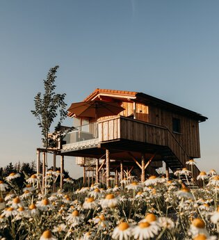 Sky Chalets Bühlertal | © Günter Wengert