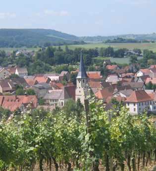 Stellplatz auf dem Weingut GravinO | © Land der 1000 Hügel - Kraichgau-Stromberg