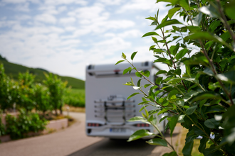 Stellplatz auf dem Weingut Zaiß | © Kraichgau-Stromberg Tourismus e.V.
