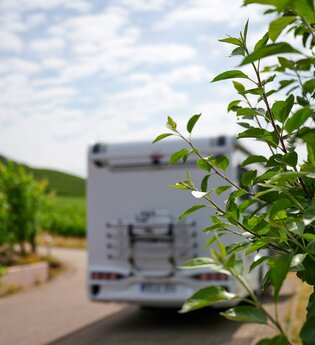 Stellplatz auf dem Weingut Zaiß | © Kraichgau-Stromberg Tourismus e.V.