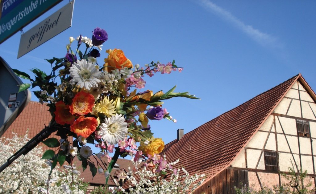 Stellplatz Giesbachhalle Diefenbach
