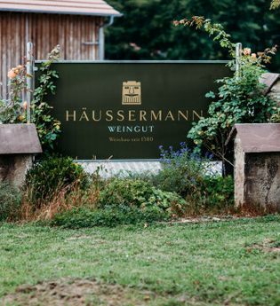 Stellplatz Weingut Häussermann Sternenfels-Diefenbach | © Land der 1000 Hügel - Kraichgau-Stromberg