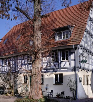 Stevenson House Bed and Breakfast | © Stevenson House privat