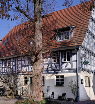 Stevenson House Bed and Breakfast | © Stevenson House privat