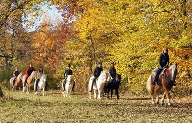 Stromberg Camping Knittlingen-Freudenstein | © Campingpark Stromberg GmbH