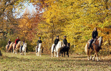 Stromberg Camping Knittlingen-Freudenstein | © Campingpark Stromberg GmbH