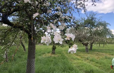 Tauber Glamping Mobil | © Sabine Münch
