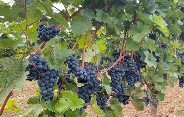 Tauber Sonnen Lodge | © Sabine Münch