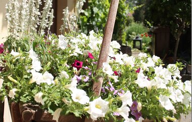 Tauberlodge | © Unbekannt