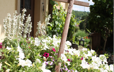 Tauberlodge | © Unbekannt