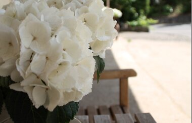 Tauberlodge | © Unbekannt