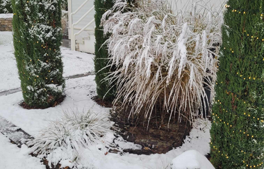 Tauberperle - Exklusives Ferienapartment | © Unbekannt