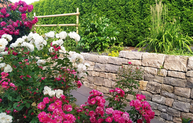 Tauberperle - Exklusives Ferienapartment | © Unbekannt