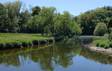 Träumen unter Bäumen in Kirchberg: Ausblick auf Jagst | © Hohenlohe Schwäbisch Hall