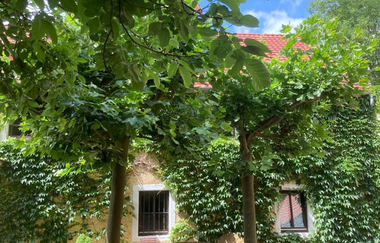 Uhlenmühle | © Unbekannt