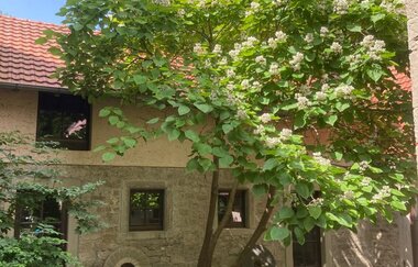 Uhlenmühle | © Unbekannt