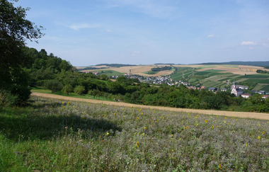 Villa Königheim | © Unbekannt