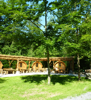 Die Campingfässer liegen idyllisch unter Bäumen | © Touristikgemeinschaft Hohenlohe e. V. | Waldcamping Hollenbacher See