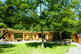 Die Campingfässer liegen idyllisch unter Bäumen | © Touristikgemeinschaft Hohenlohe e. V. | Waldcamping Hollenbacher See