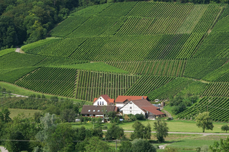 Das Weingut Keil liegt umrahmt von Weinbergen | © Touristikgemeinschaft Hohenlohe e. V.  | Weingut Keil