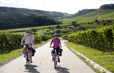 WeinRadeln - unterwegs am Württemberger Weinradweg im HeilbronnerLand | © Touristikgemeinschaft HeilbronnerLand e.V.