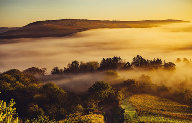WeinHerbst im Naturpark Stromberg-Heuchelberg | Weinsberger Tal | HeilbronnerLand | © Touristikgemeinschaft HeilbronnerLand