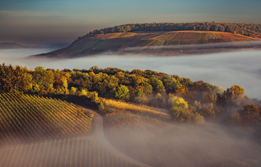 WeinHerbst im Naturpark Stromberg-Heuchelberg | Weinsberger Tal | HeilbronnerLand | © Touristikgemeinschaft HeilbronnerLand