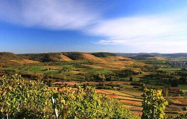 Blick vom Scheuerberg über das Weinsberger Tal | Weinsüden Weinort Erlenbach | HeilbronnerLand | © Tourismus im Weinsberger Tal