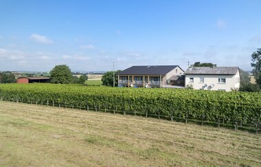Außenansicht Gebäude | Winzerhof Schmid | Schwaigern | HeilbronnerLand | © Winzerhof Schmid