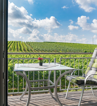 Weinbergblick von Balkon | Winzerhof Schmid | Schwaigern | © Winzerhof Schmid
