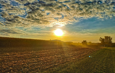 WirsindmobEil | Landwirtschaftlicher Demeter Betrieb | Langenbrettach | Weinsberger Tal | © WirsindmobEil