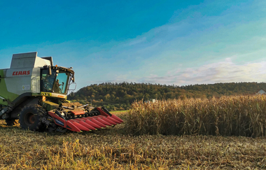 WirsindmobEil | Landwirtschaftlicher Demeter Betrieb | Langenbrettach | Weinsberger Tal | © WirsindmobEil