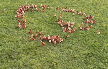 WirsindmobEil | Eberstadt | Langenbrettach | Landwirtschaftlicher Demeter Betrieb | Weinsberger Tal | © Tourismus im Weinsberger Tal e.V.