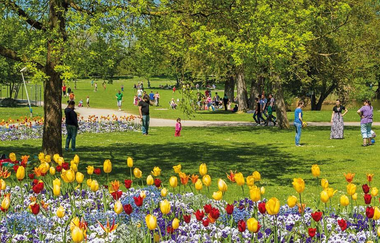 Wertwiesenpark Heilbronn | Parkanlage am Neckar