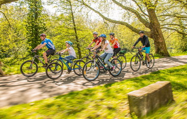 Neckartal-Radweg bei Heilbronn | © Touristikgemeinschaft HeilbronnerLand e.V.