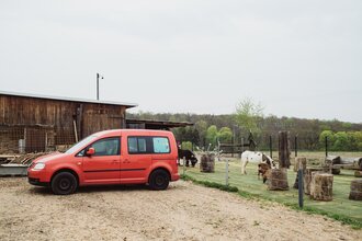 Ein rotes Auto steht vor einer Scheune. Auf der rechten Seite sind zwei Esel. Hardheim im Odenwald. | © Freizeit- und Ferienreiterhof Odenwald