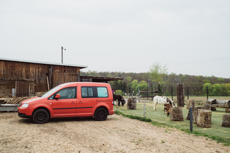 Ein rotes Auto steht vor einer Scheune. Auf der rechten Seite sind zwei Esel. Hardheim im Odenwald. | © Freizeit- und Ferienreiterhof Odenwald